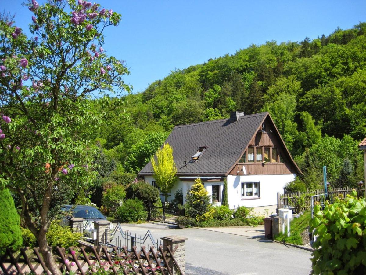 Apartamento Haus Am Waldrand Freital Exterior foto