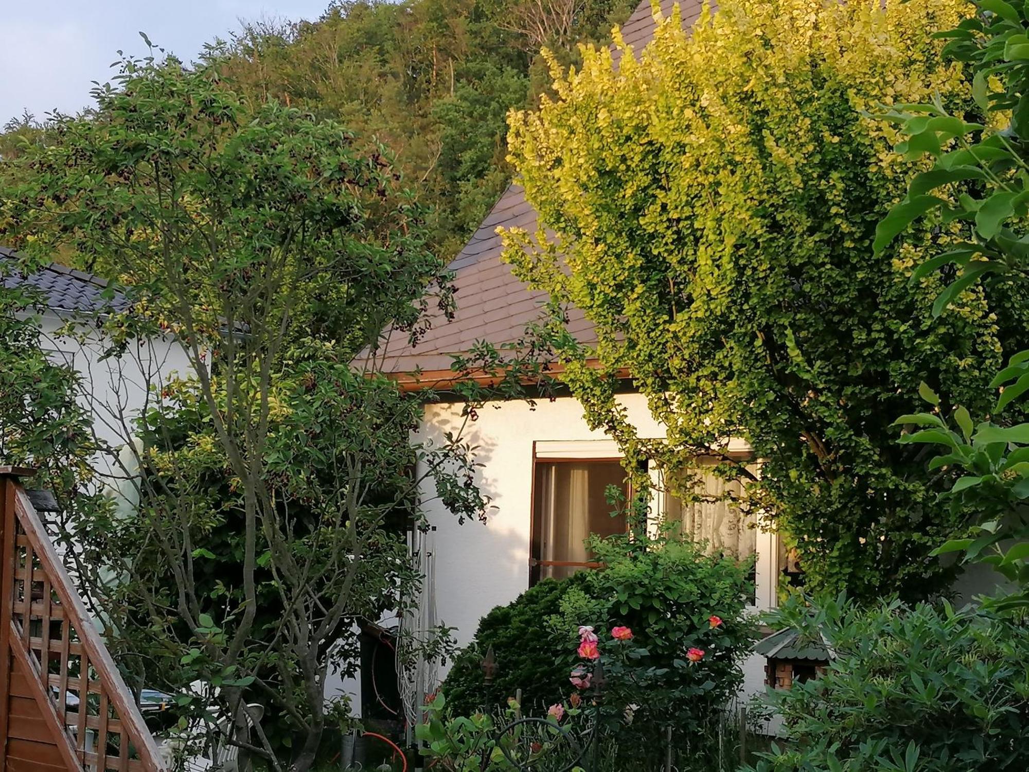 Apartamento Haus Am Waldrand Freital Exterior foto